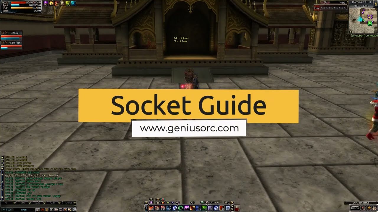 Socket Guide in Twelve sky 2