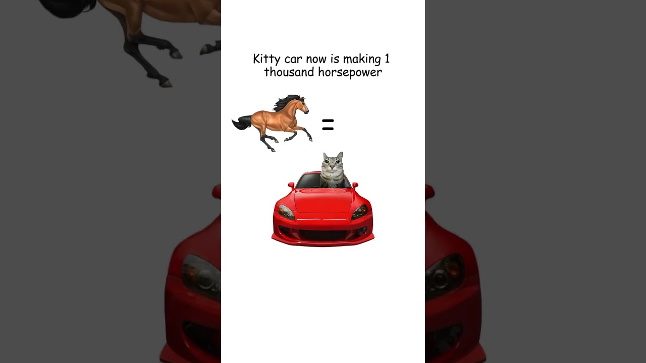 VTEC engine explained by kitty👍#kitty #honda #cat #cats #cars