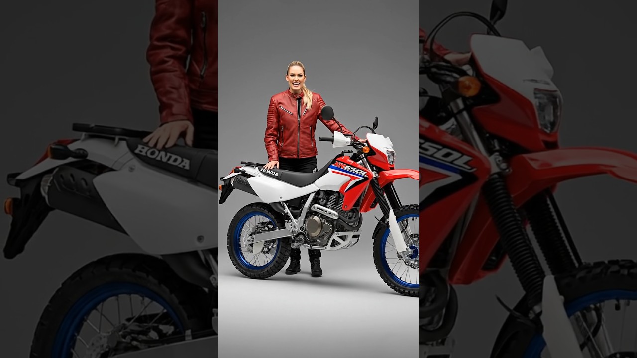 Мотоцикл Honda XR650L Dual-Sport 2025 года | Подходит для бездорожья и дорог общего пользования