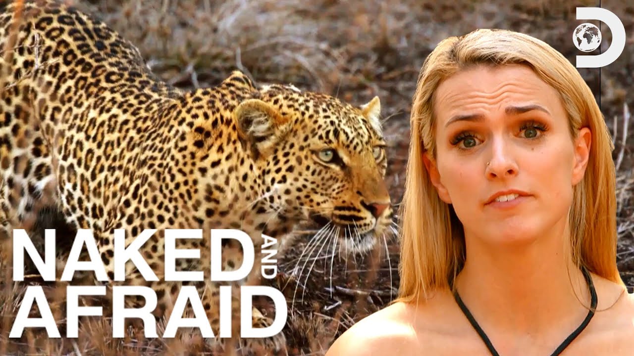 Most Dramatic Moments of Season 11 | Naked and Afraid | Discovery