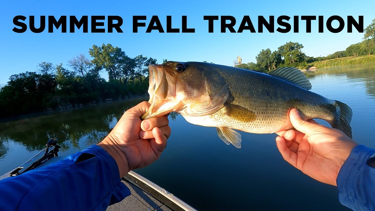 Dirty Bassin 13   Summer Fall Transition