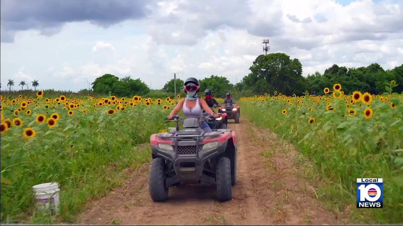 ATV tours in Redland offer muddy escape from city life
