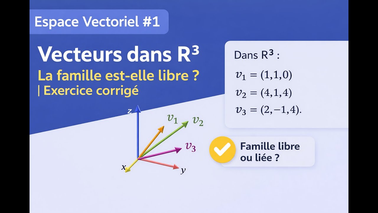 Espace Vectoriel #1 – Vecteurs dans R3 : la famille est elle libre ?