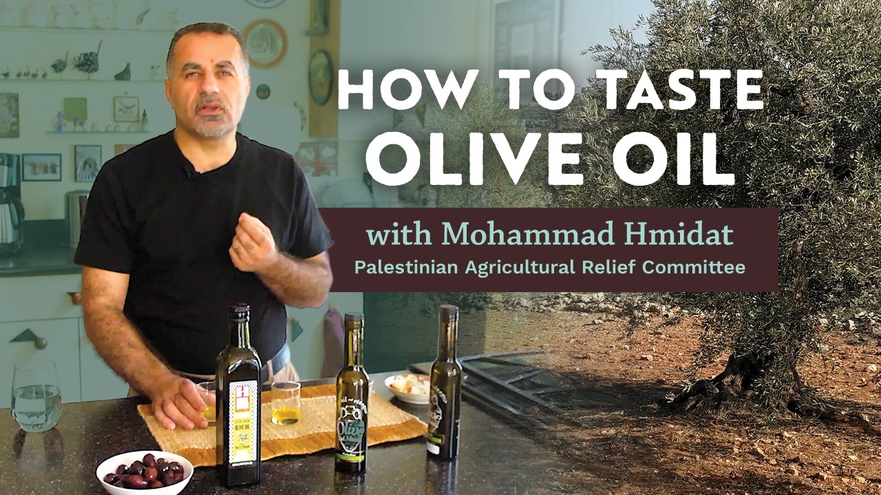 Olive Oil Tasting