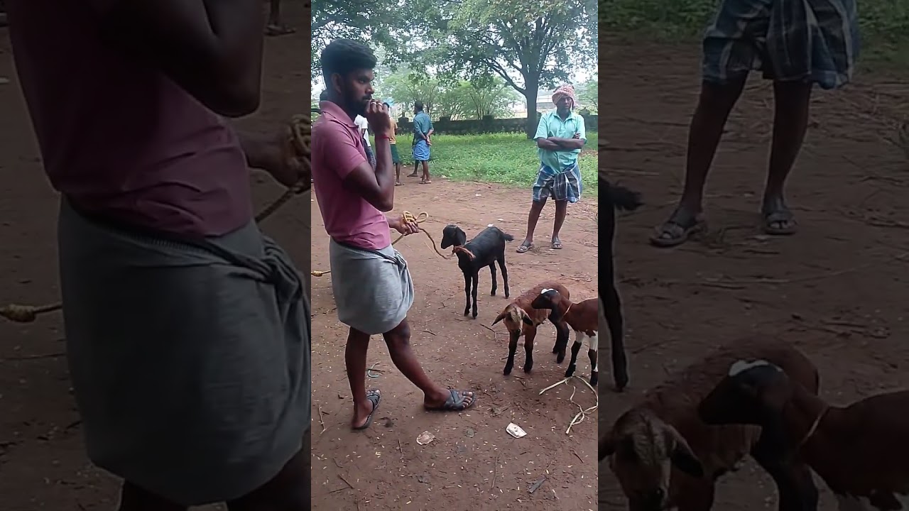 கடையம் சந்தையின் வீடியோ