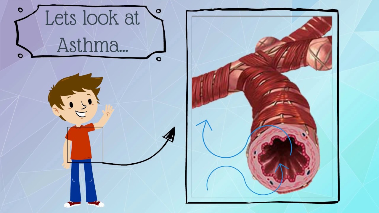 Asthma Medicines
