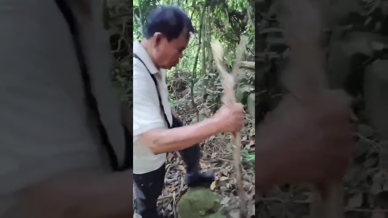 Leo núi MA THIÊN LÃNH,ĐẢO HÒN SƠN,KIÊN GIANG