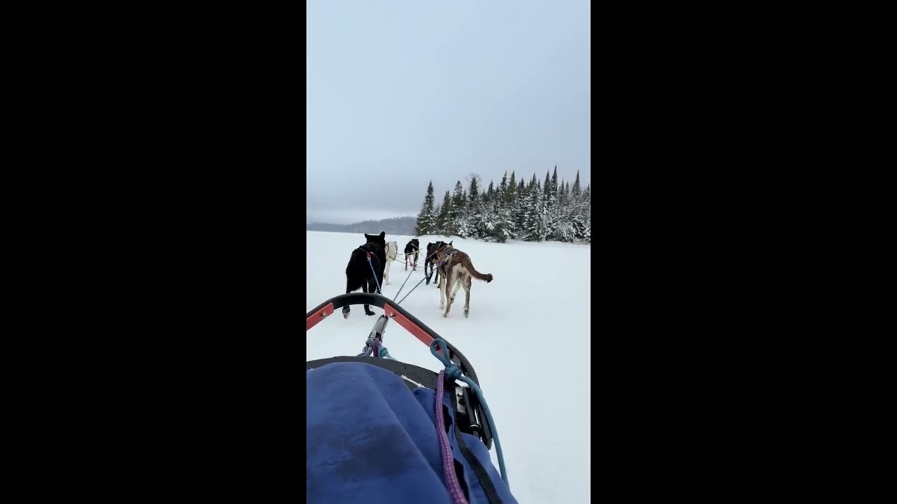 Dogsledding on Bearskin Lake, Minnesota