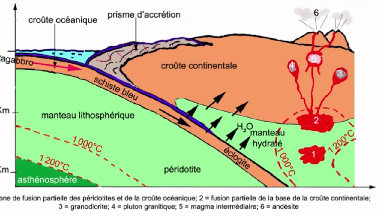 La subduction et ses conséquences