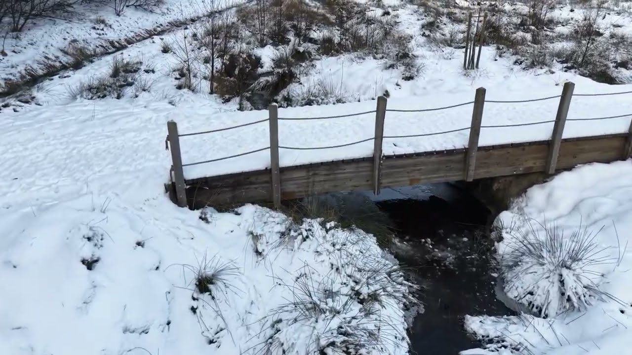 Lathen - Winterimpressionen im Januar 2026
