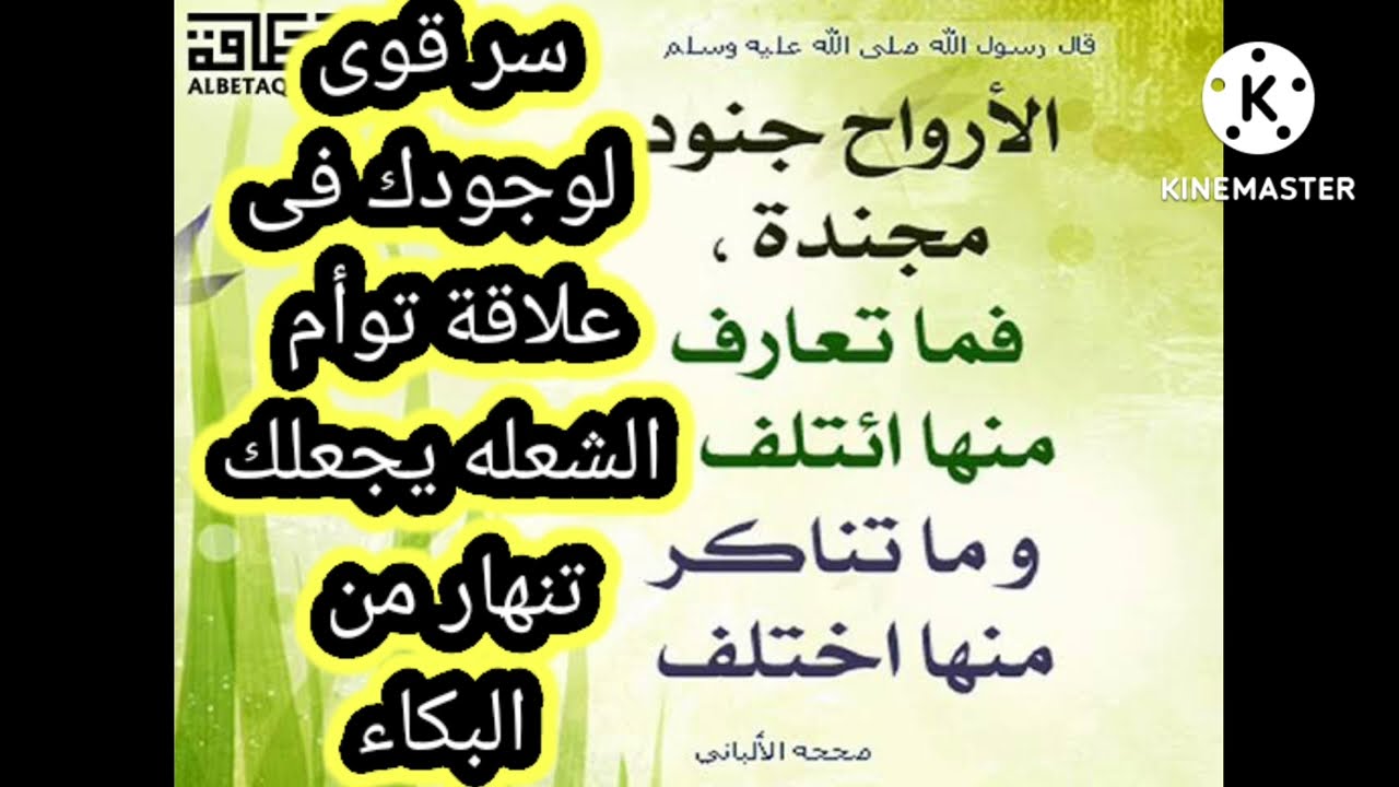 #رساله_الهارب#المطارد سر قوى جداً هيعرفك سبب وجودك فى علاقة توأم الشعله يجعلك تنهار من البكاء