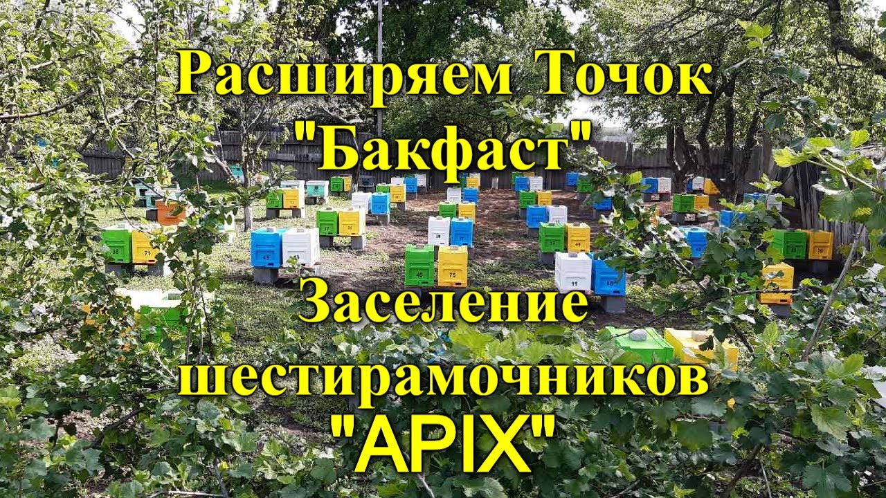 Заселение шестирамочников 