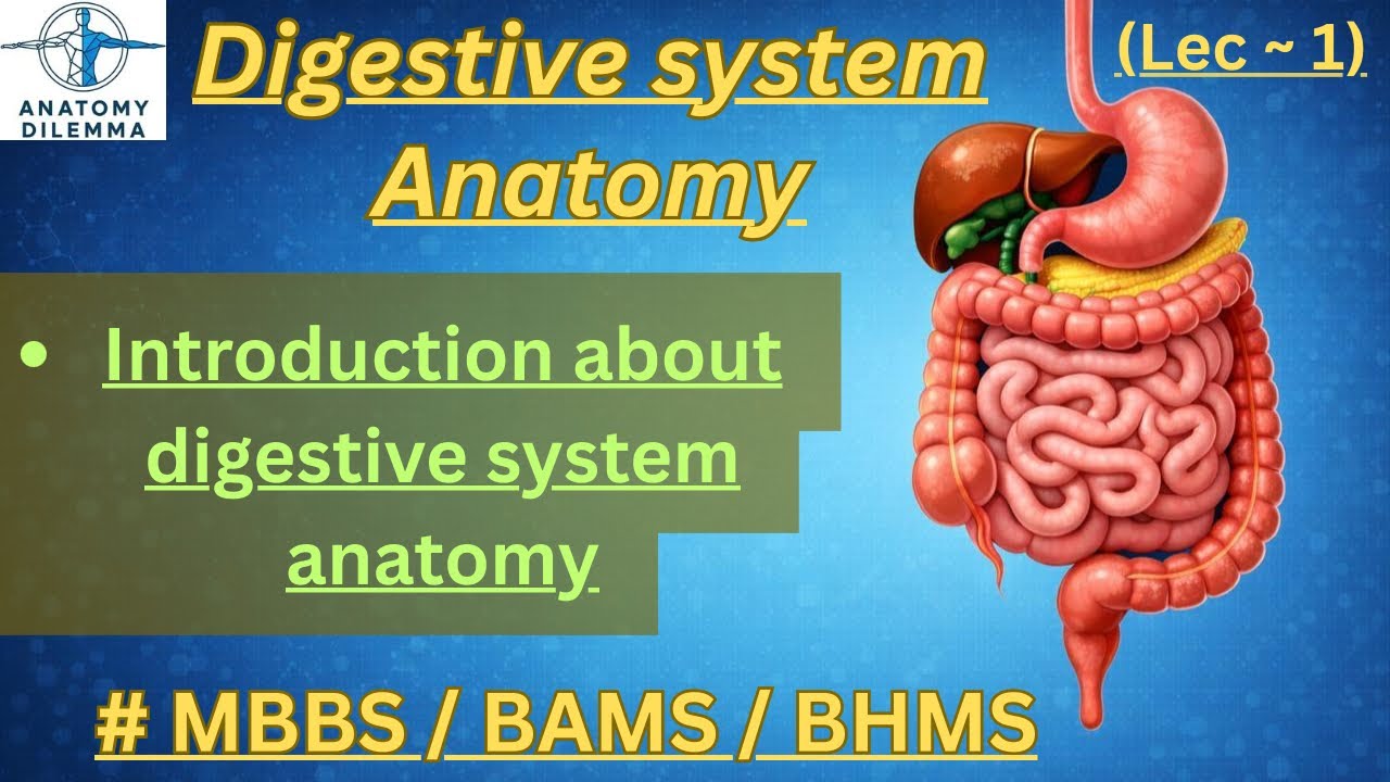 |introduction about digestive system anatomy | lec ~ 1 | DR ~ MUKUL GOYAL | anatomy dilemma |