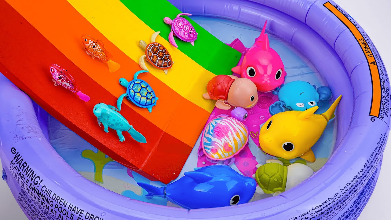 Satisfying With Unboxing Zuru Robo Swimming Pool With Huge Rainbow Slide ASMR 🐊 Review Toy
