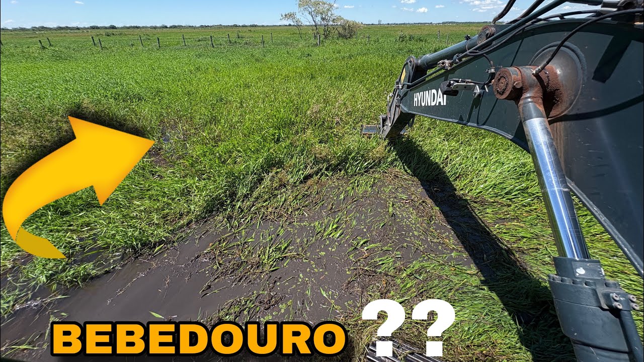 BEBEDOURO TOTALMENTE ENTUPIDO ⚠️ 