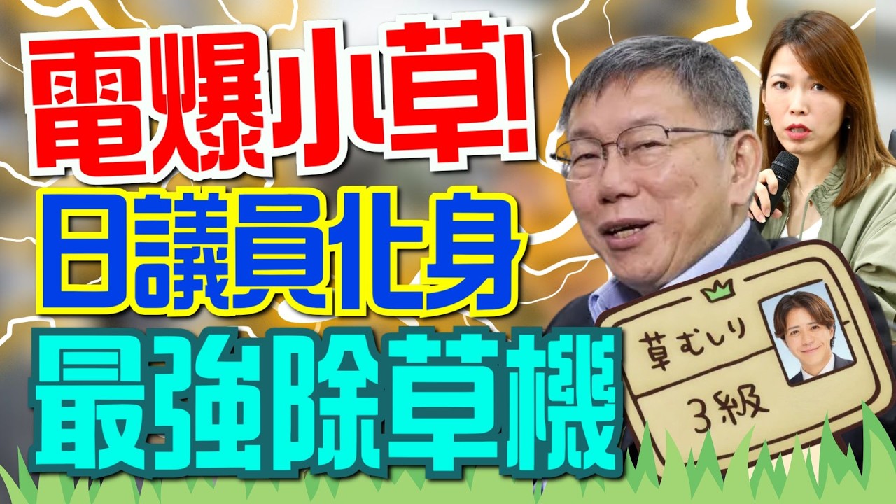 【三立辣政論🌶️】公開反對柯文哲入境日本遭出征！日議員變身超強「割草機」 火力全開連續發文電爆小草 連戰狼小姐姐也被嗆得滿臉豆花？│20260314│三立新聞台