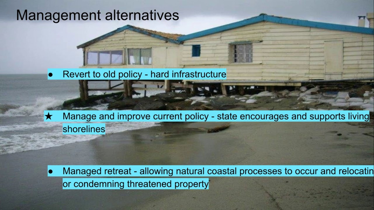 Adaptive Management of Connecticut&rsquo;s Living Shorelines: Actions and Strategies