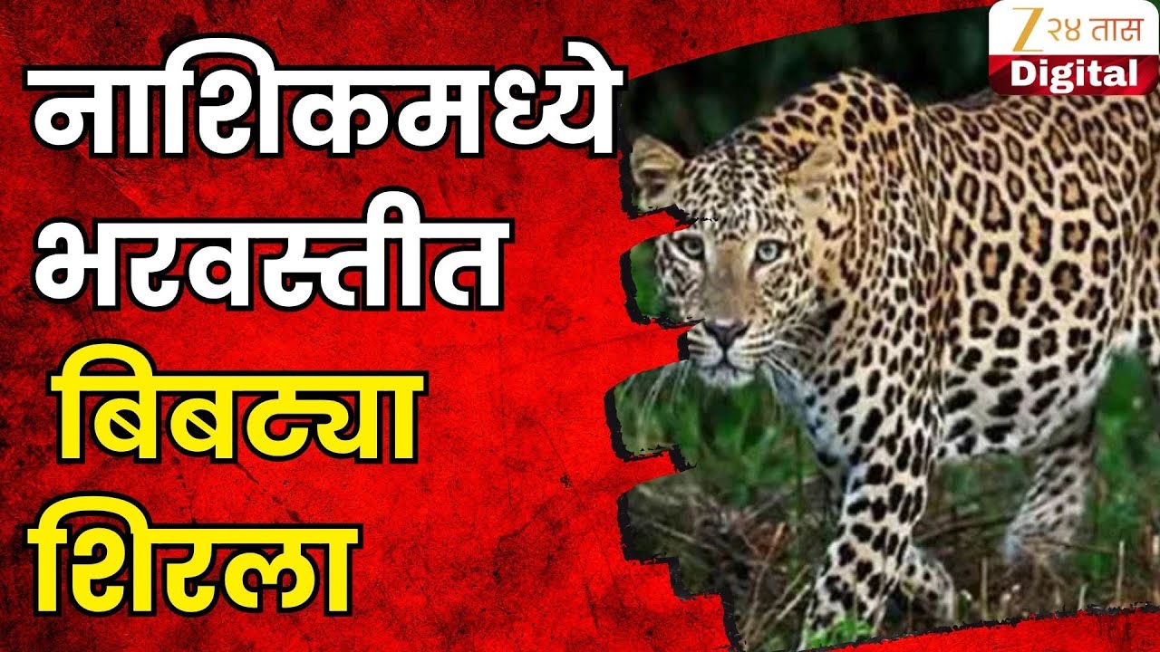 Nashik Leopard News | नाशिकमध्ये भरवस्तीत बिबट्या शिरला; वनविभागाचे कर्मचारी घटनास्थळी दाखल