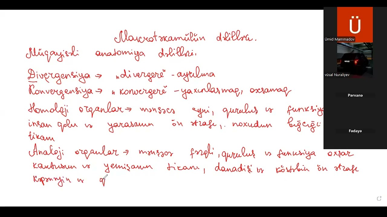 Makrotəkamül müqayisəli anatomiya dəlilləri, təkamülün istiqamətləri və yolları