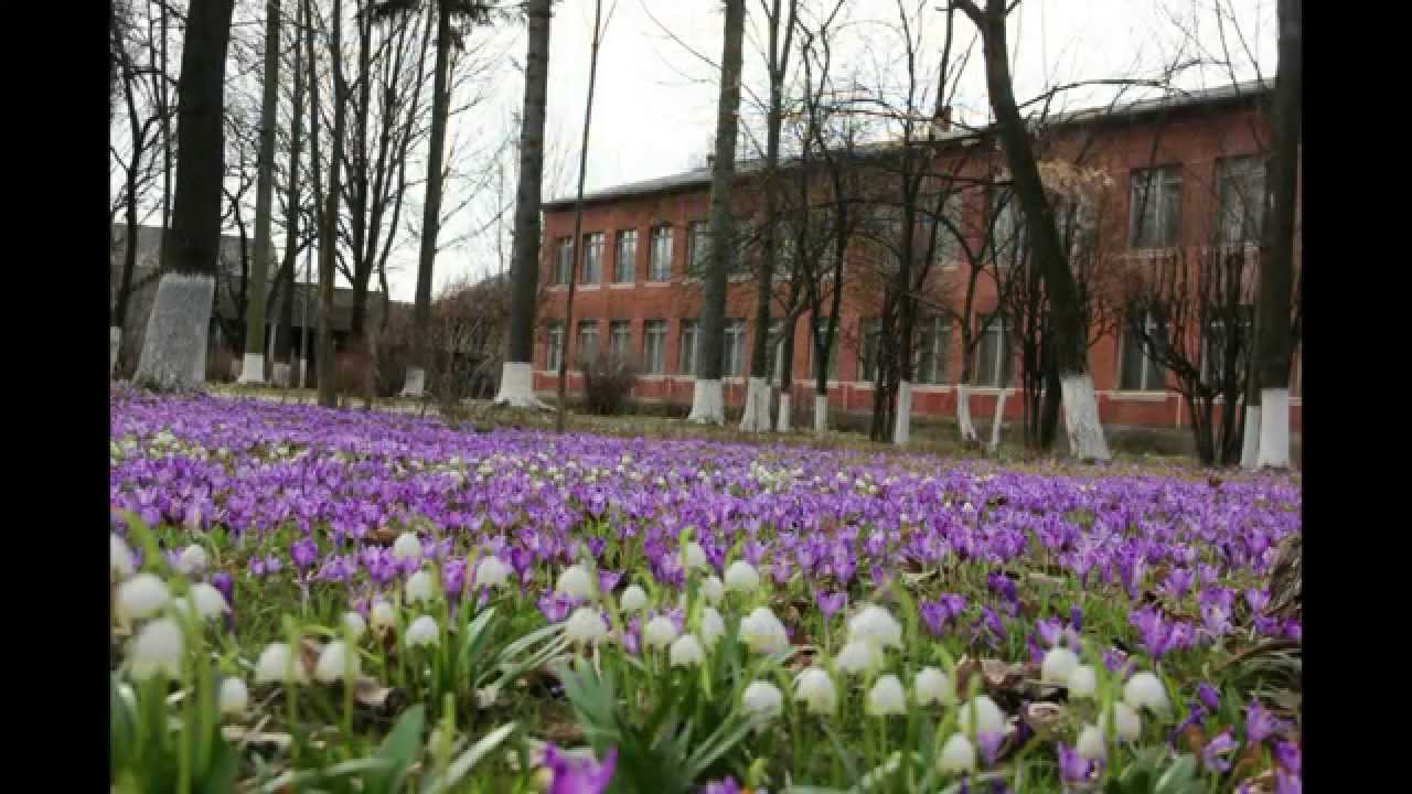 Школа Калинівська ЗОШ І ІІІ ступенів