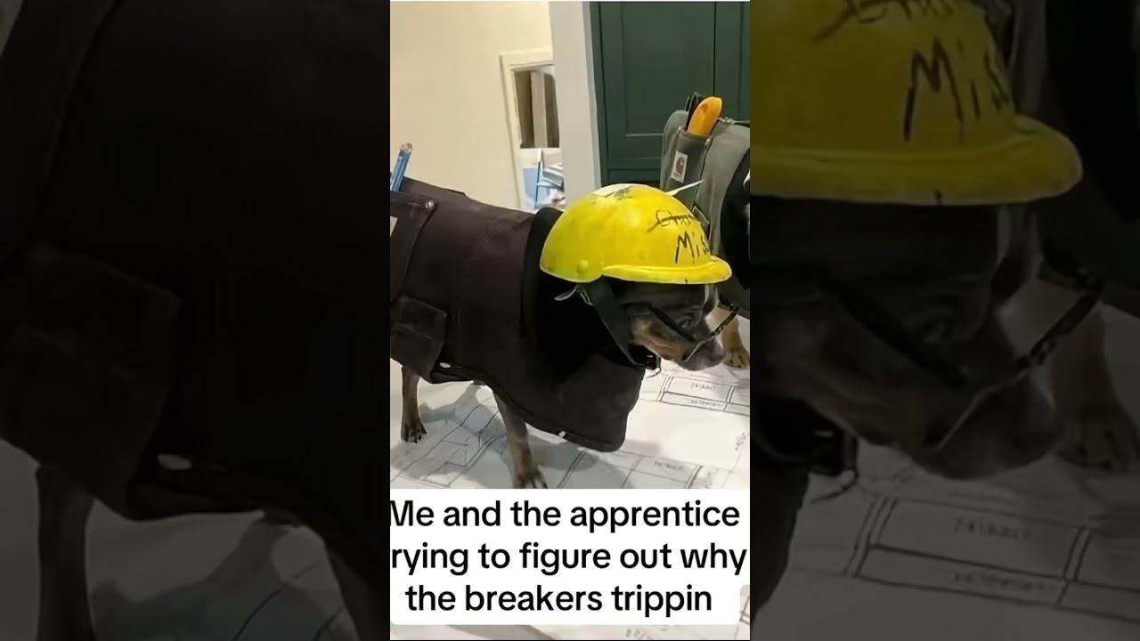 Everytime 😂😂 #electricalwork #electrician #fyp #electricianlife #work #servicetechnician