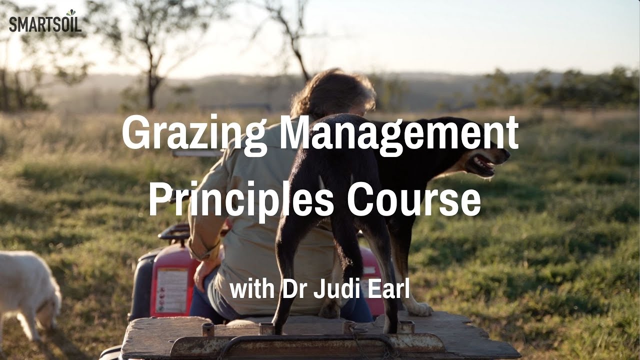 Smartsoil Grazing Management Principles Online Course with Dr Judi Earl