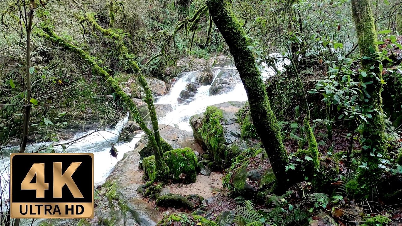 4K Virtual Hike Near River through the Forest - Waterfalls & Only Nature Sounds (No Music), Galicia