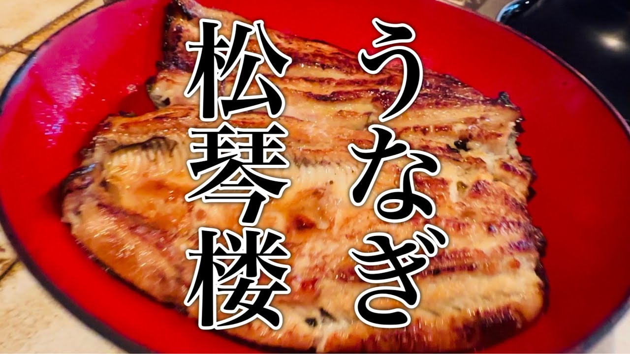 うなぎ松琴楼 小田原城近くうなぎ屋 江戸時代創業の老舗 神奈川グルメ ランチ しょうきんろう 小田原市 鰻重 鰻丼 UNAGI Sho-Kin-Ro ODAWARA Japan
