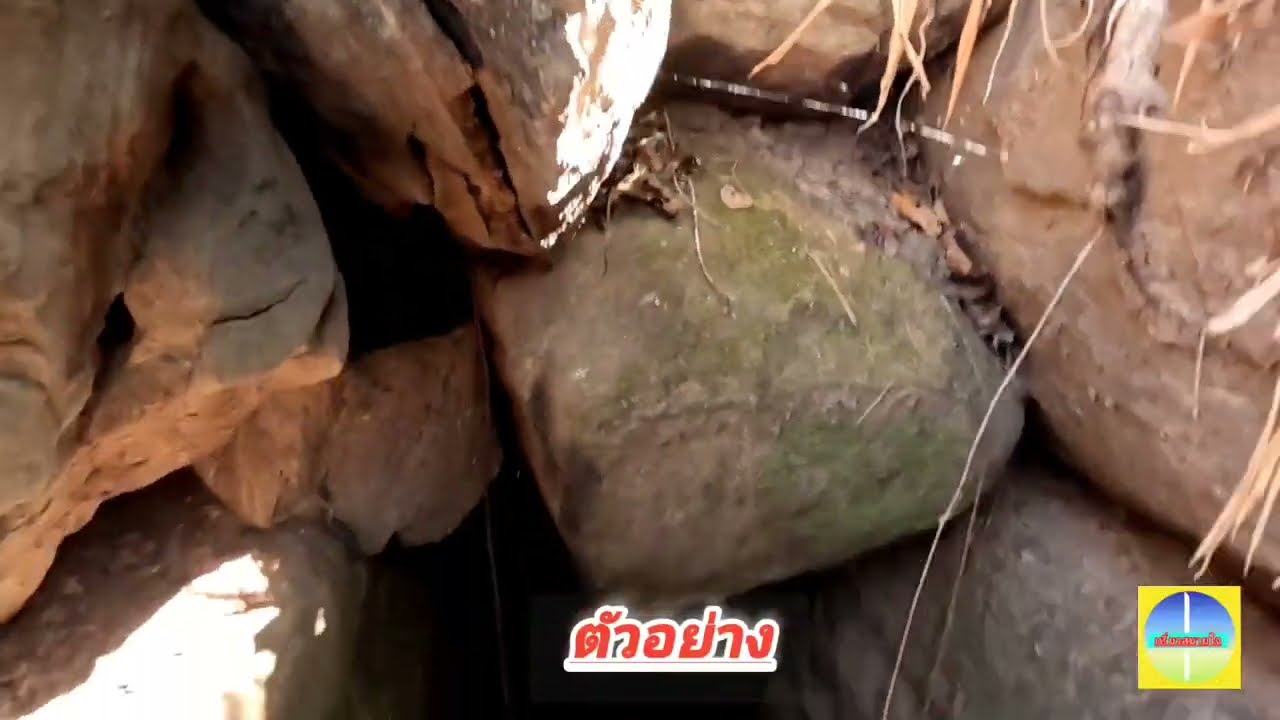 #ถ้ำร้างกลางป่าเดินป่าสำรวจถ้ำดูธรรมชาติ#