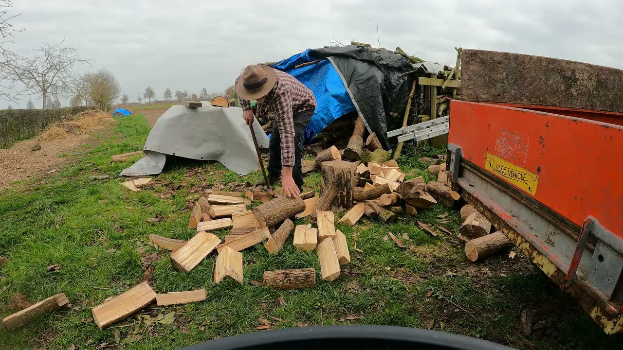 De ARK 9 als de tuinvrouw en  -man afwezig zijn neemt de natuur snel over.