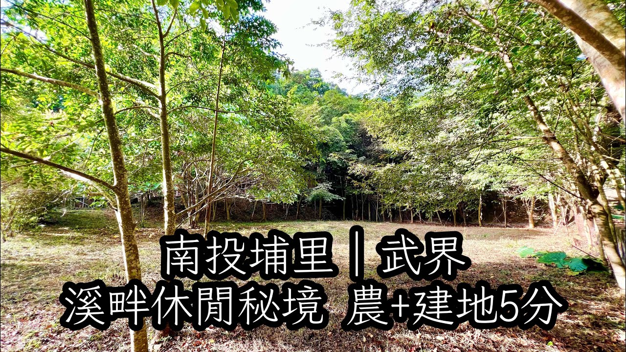 玉山房屋｜埔里武界 溪畔休閒秘境 農+建地5分｜露營區｜農建地｜溪畔｜瀑布｜森林｜山景｜空拍影片