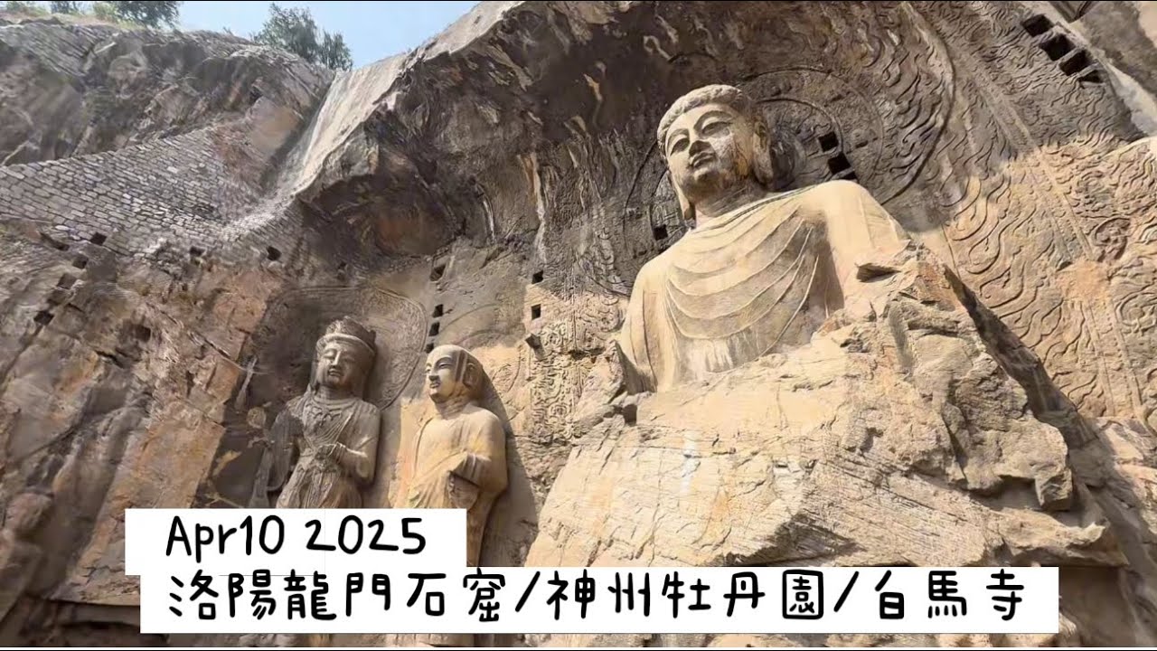 Apr 10 2025龙门石窟➡️洛阳乡土菜馆➡️神州牡丹园➡️白馬寺➡️京小凤 #travel #龙門石窟#洛陽 #chinatravel #travelvlog #china #中国旅行