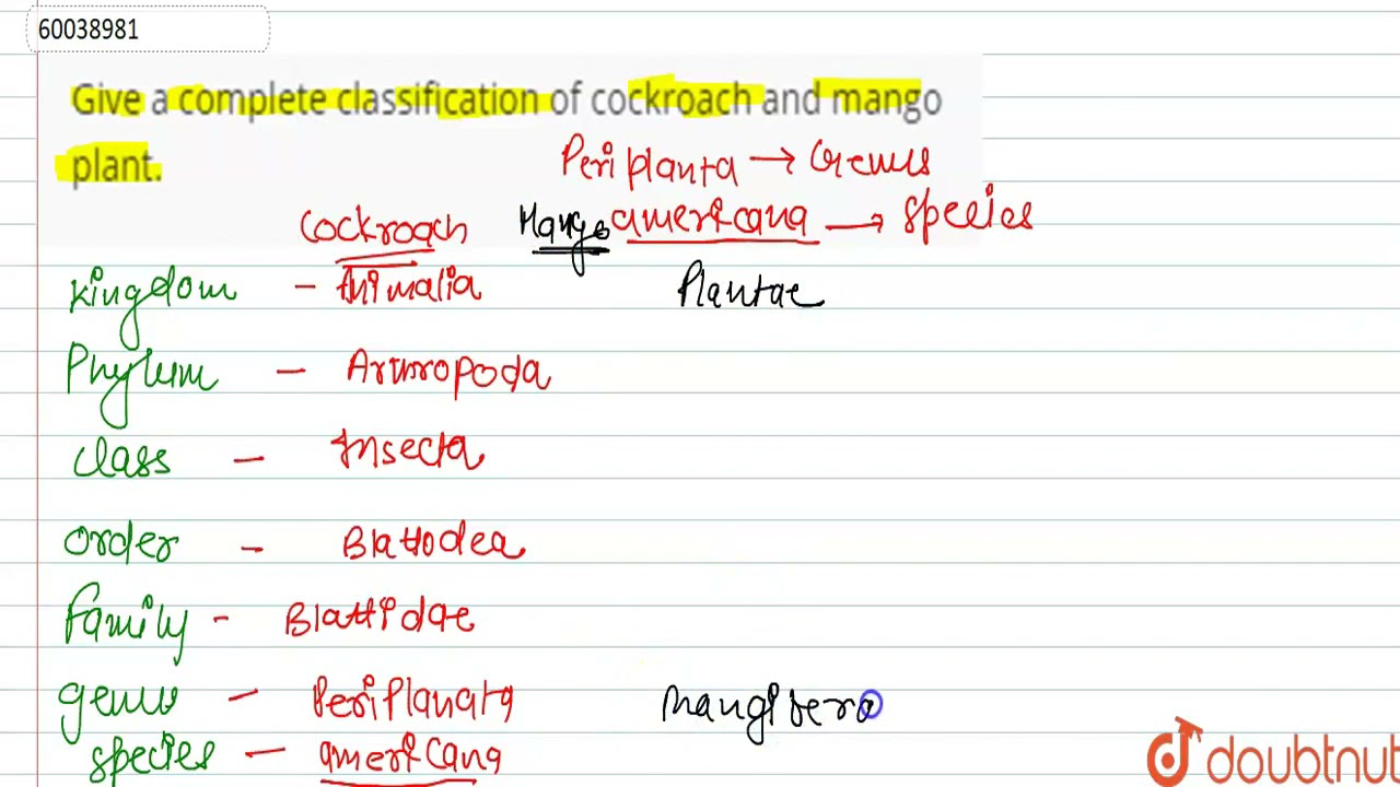 Give a complete classification of cockroach and mango plant. | 11 | THE LIVING WORLD | BIOLOGY |...