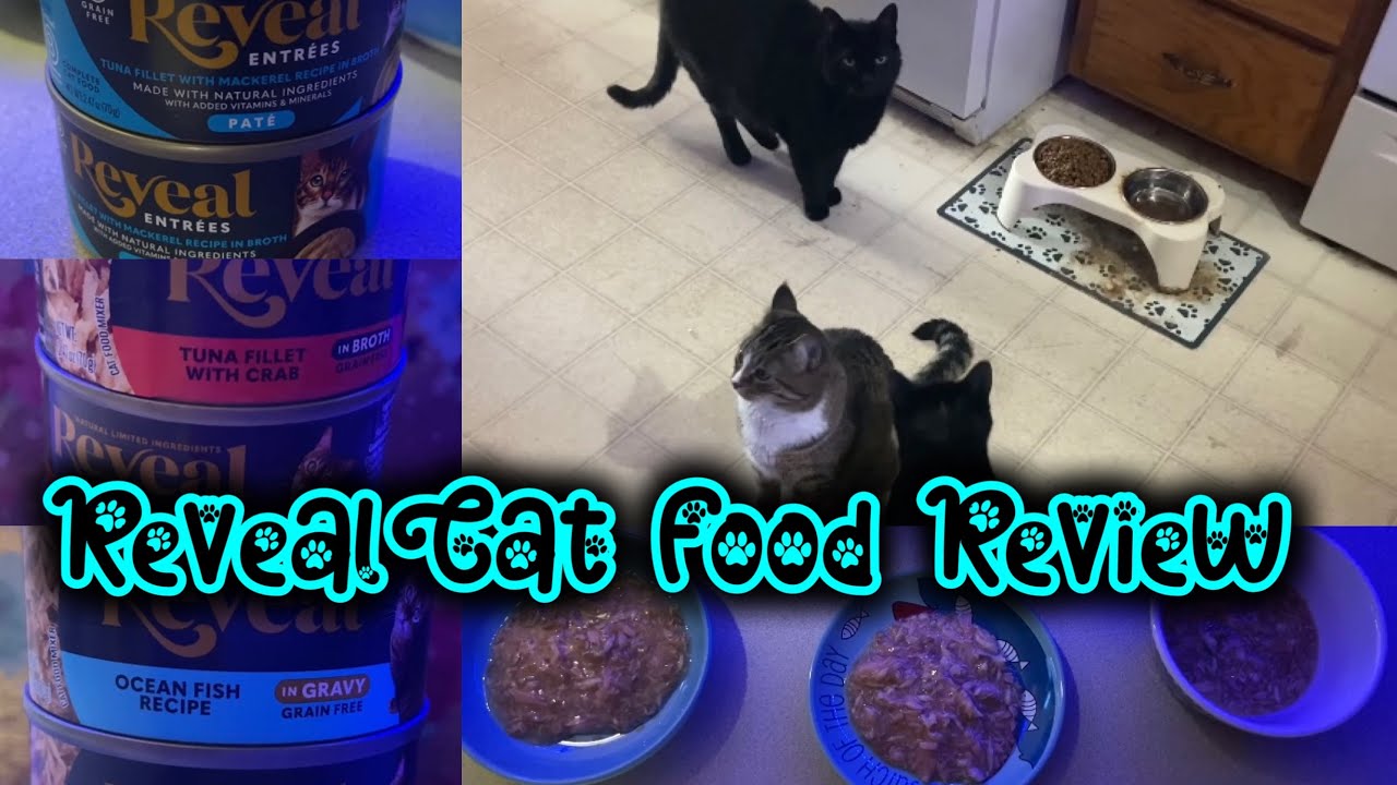 Reveal Natural Grain-Free Wet Cat Food Review