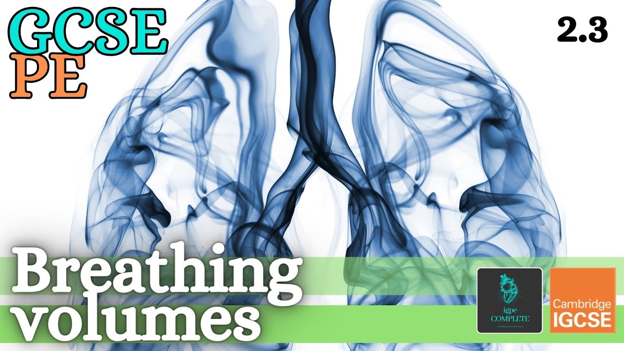 GCSE PE - BREATHING VOLUMES & MINUTE VENTILATION - Anatomy and Physiology (Respiratory System - 2.3)