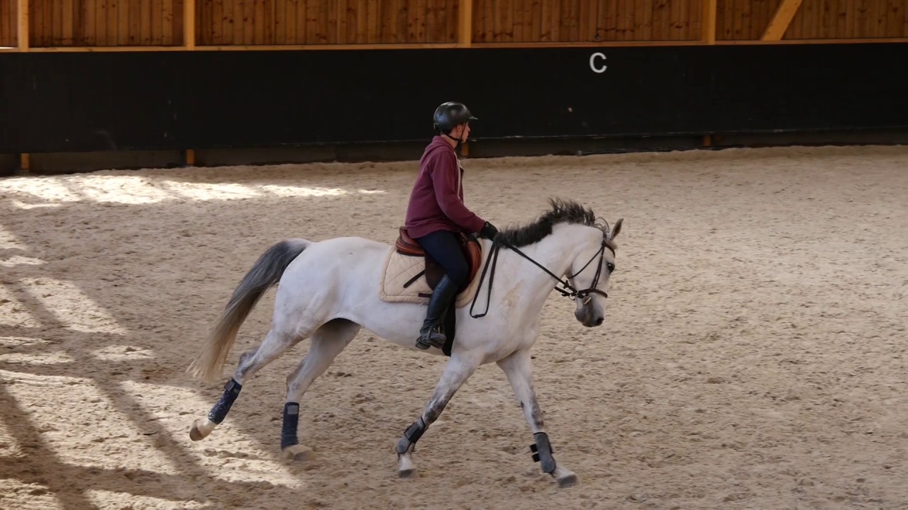 Gurvan   reprise de dressage G7