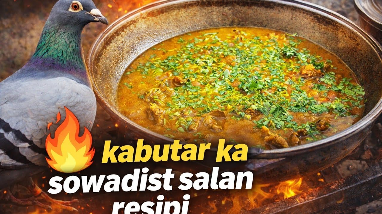 Pigeon Meat Recipe | Kabutar Ka Sowadist Salan Resipi 🔥
