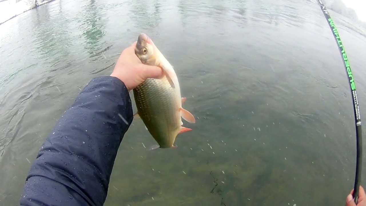 Zimski ribolov &scaron;kobalja na plovak , short film of winter fishing