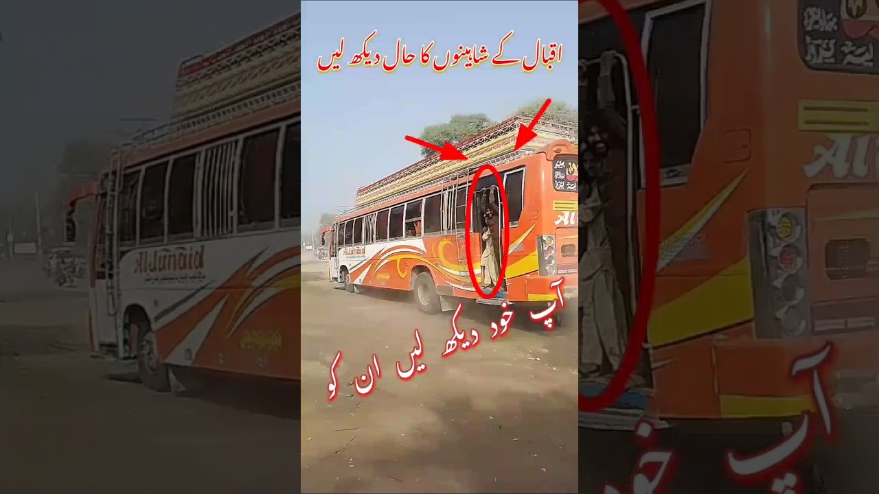 Al junaid travel #youtubeshorts #trendingshorts #foryou #bus #muqabla #bus