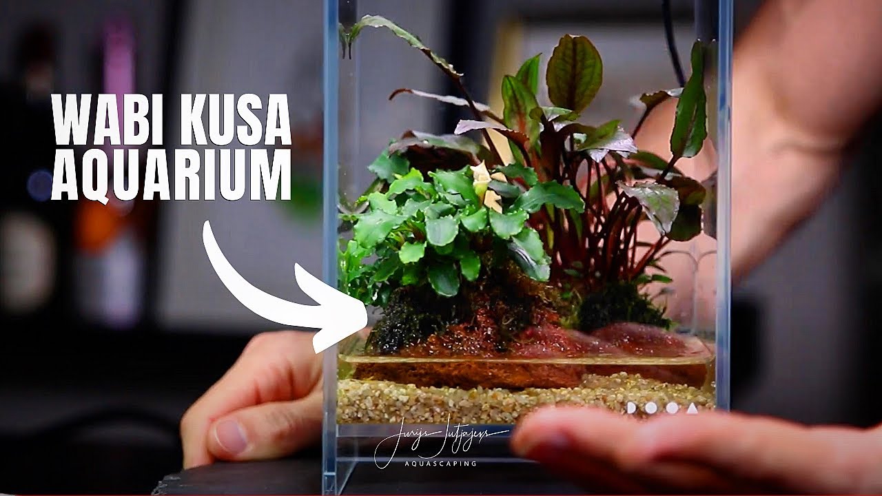 Wabi Kusa Aquarium - DOOA Neo Glass Air 15x15x25