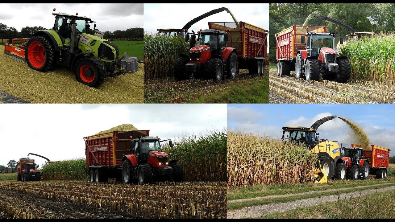 New Holland FR 550 en 2x Massey Ferguson met Schuitemakers siwa's in de mais. Pekkeriet Dalfsen!