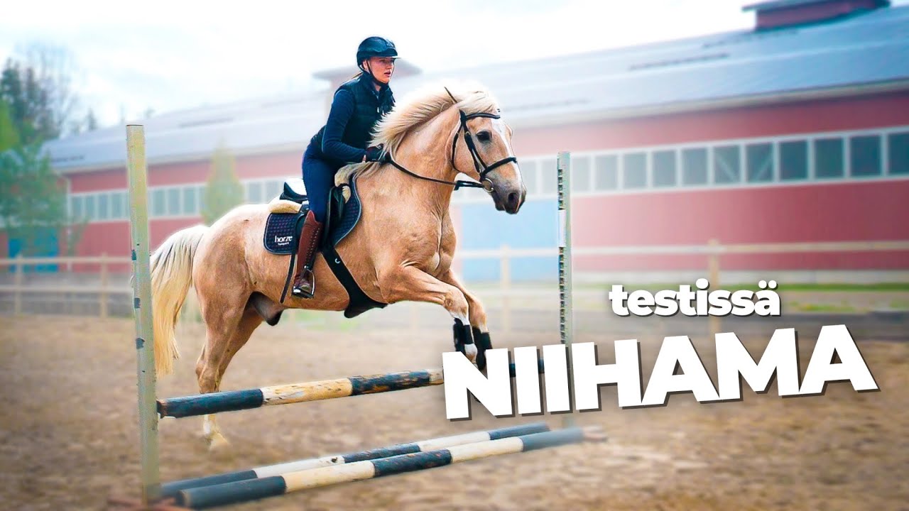 Testaan Ratsastuskouluja | Niihama Riding