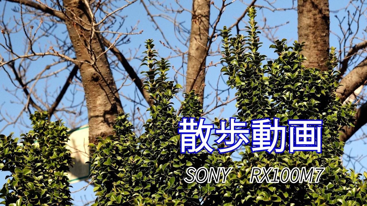 散歩動画ーSONY RX100M7、雁宿周辺