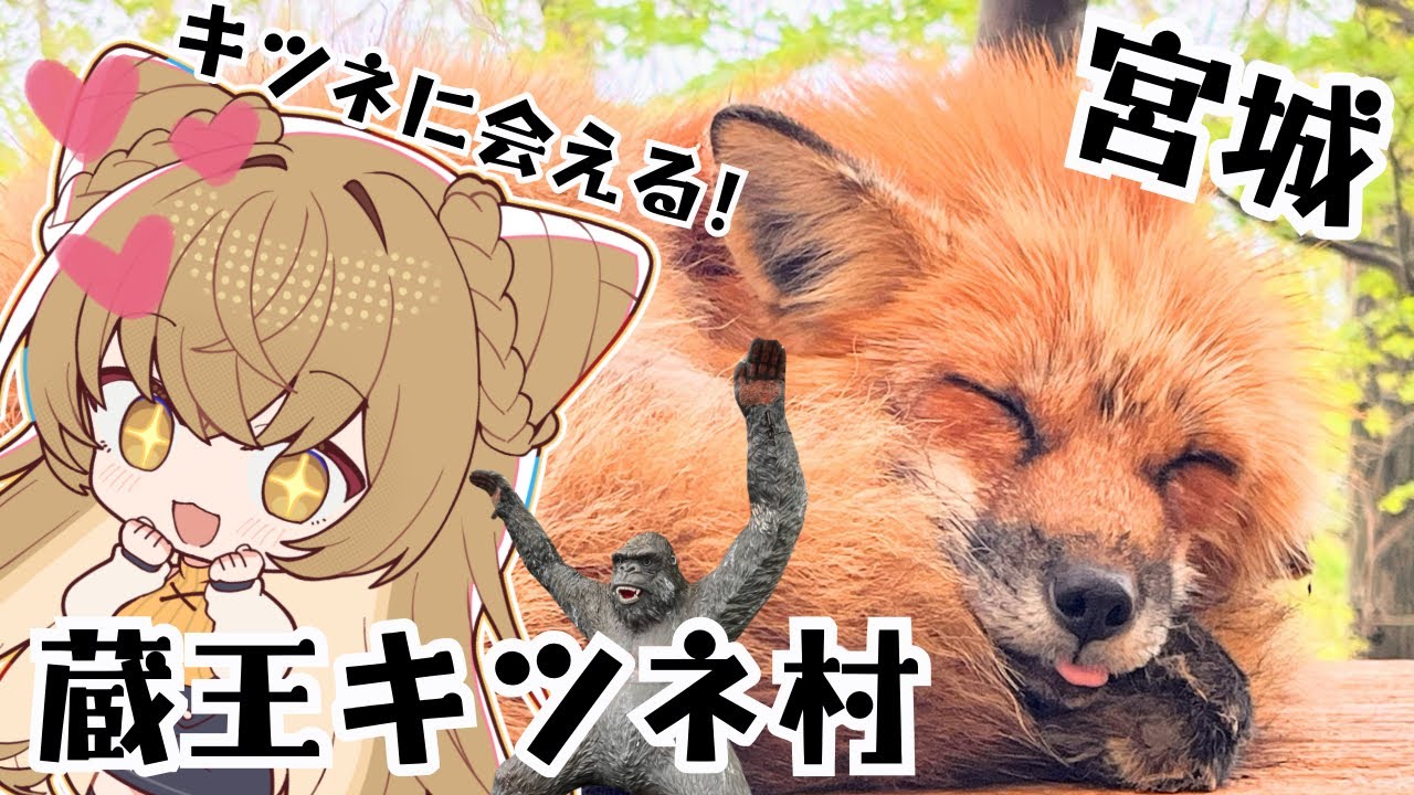 【Vlog】100匹以上が放し飼い！？宮城蔵王キツネ村に行ってきた🦊【Fox Village in Zao】#狐今あまね