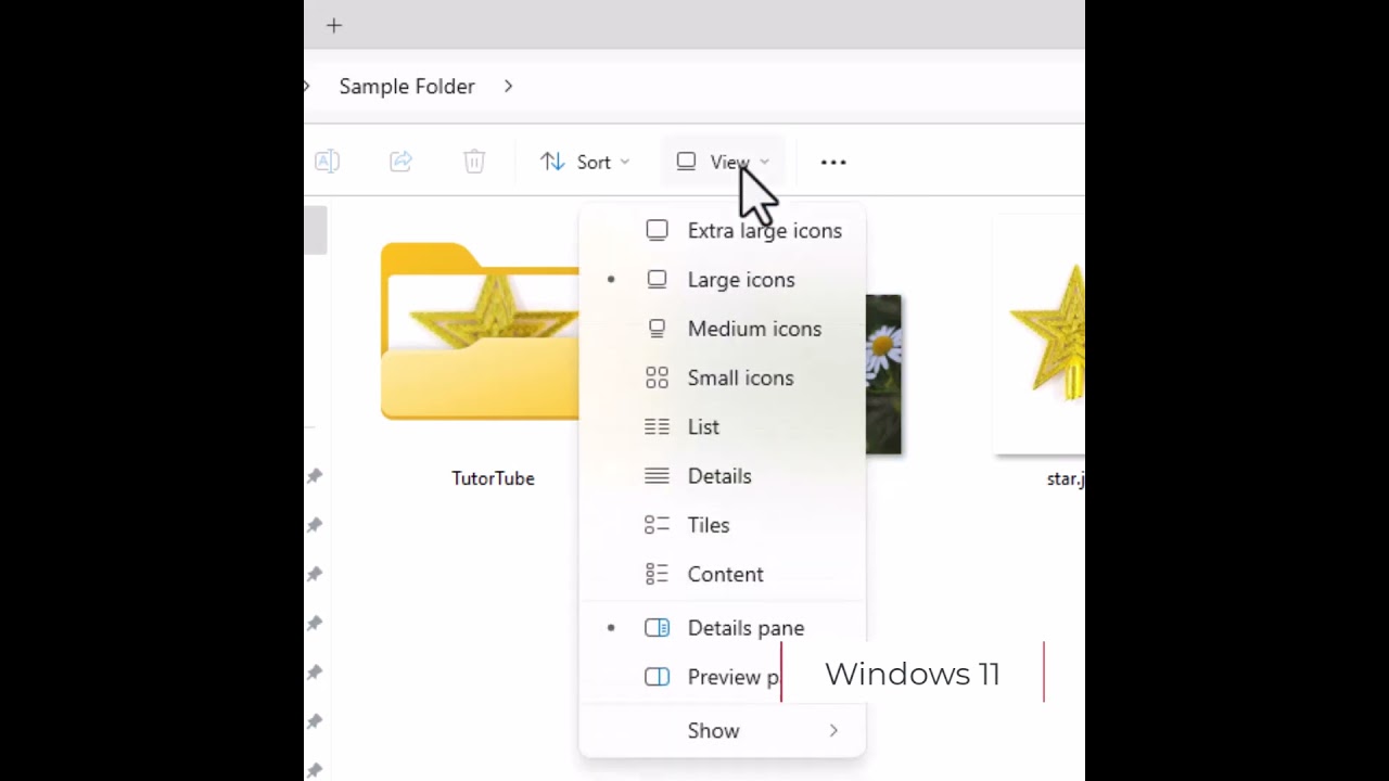 Windows 11 Changing File Explorer View
