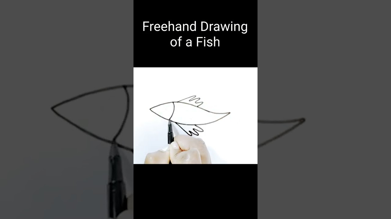 How to draw a Fish 🐠🐋🐟 | Freehand Drawing