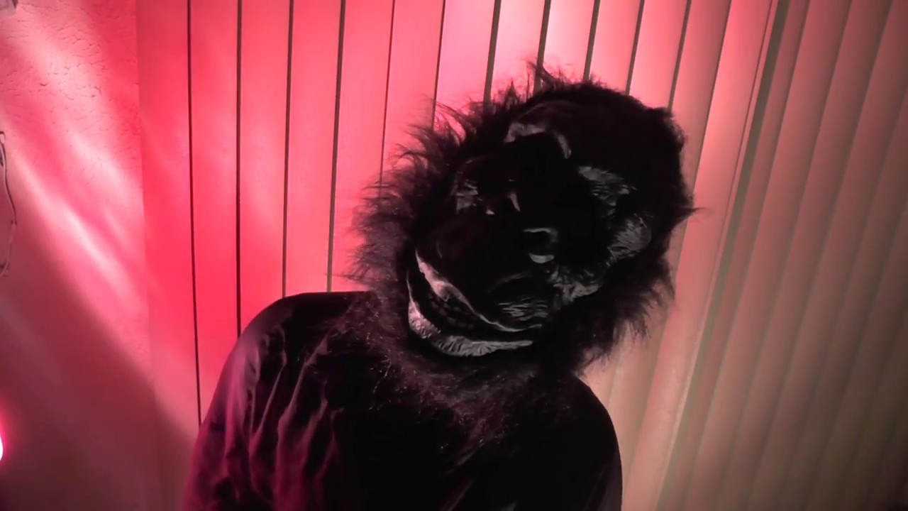 Performing Monkey