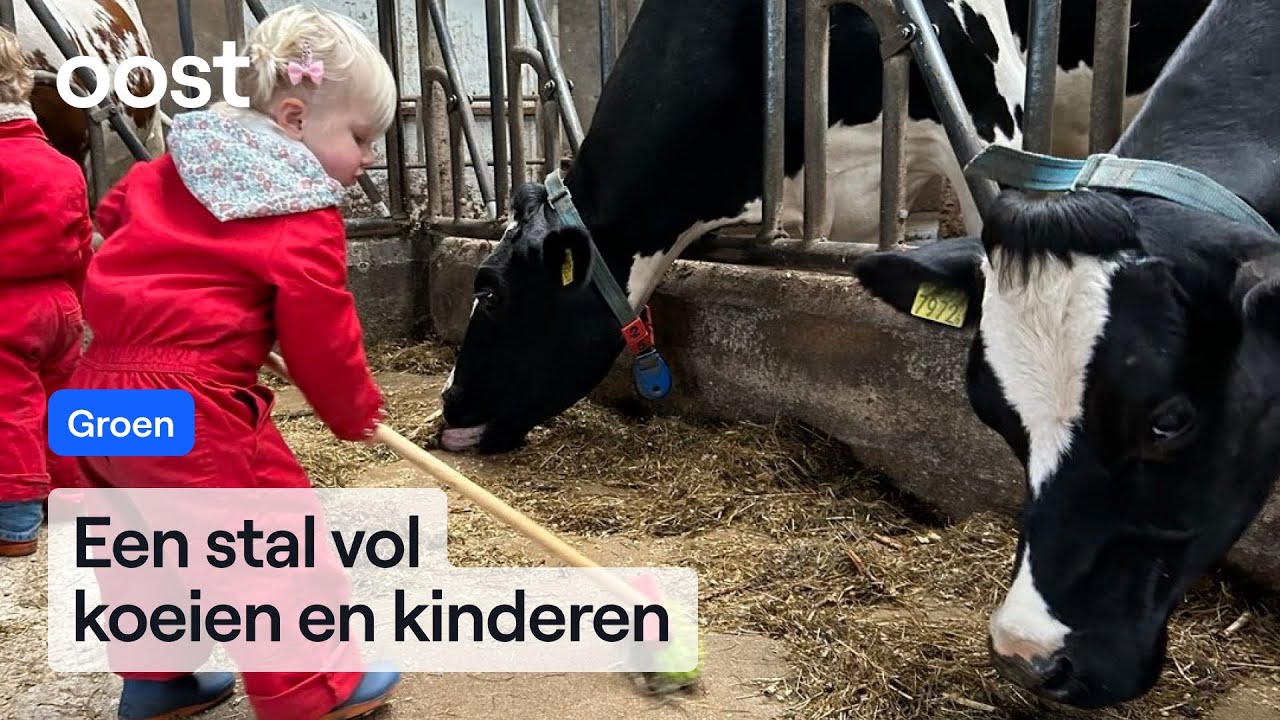 Melkveehouder Mireille begon kinderopvang op boerderij en die is groot succes | Oost