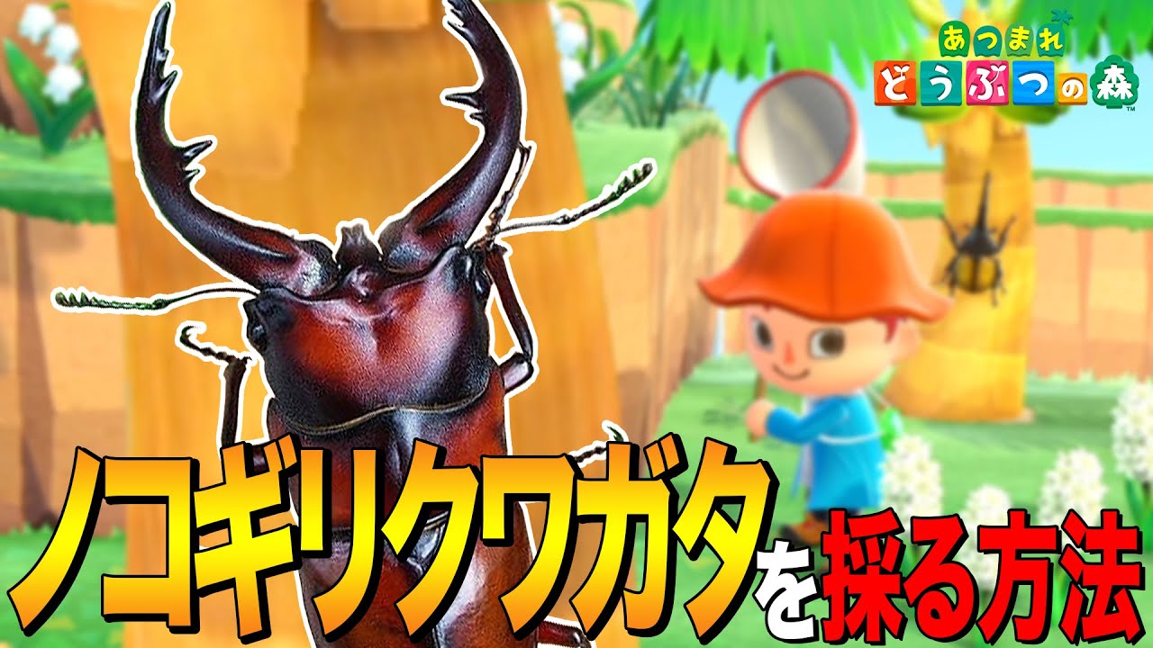 【あつ森】死んだふり名人「ノコギリクワガタ」を採る方法 ～Saw Stag～【あつまれ どうぶつの森】