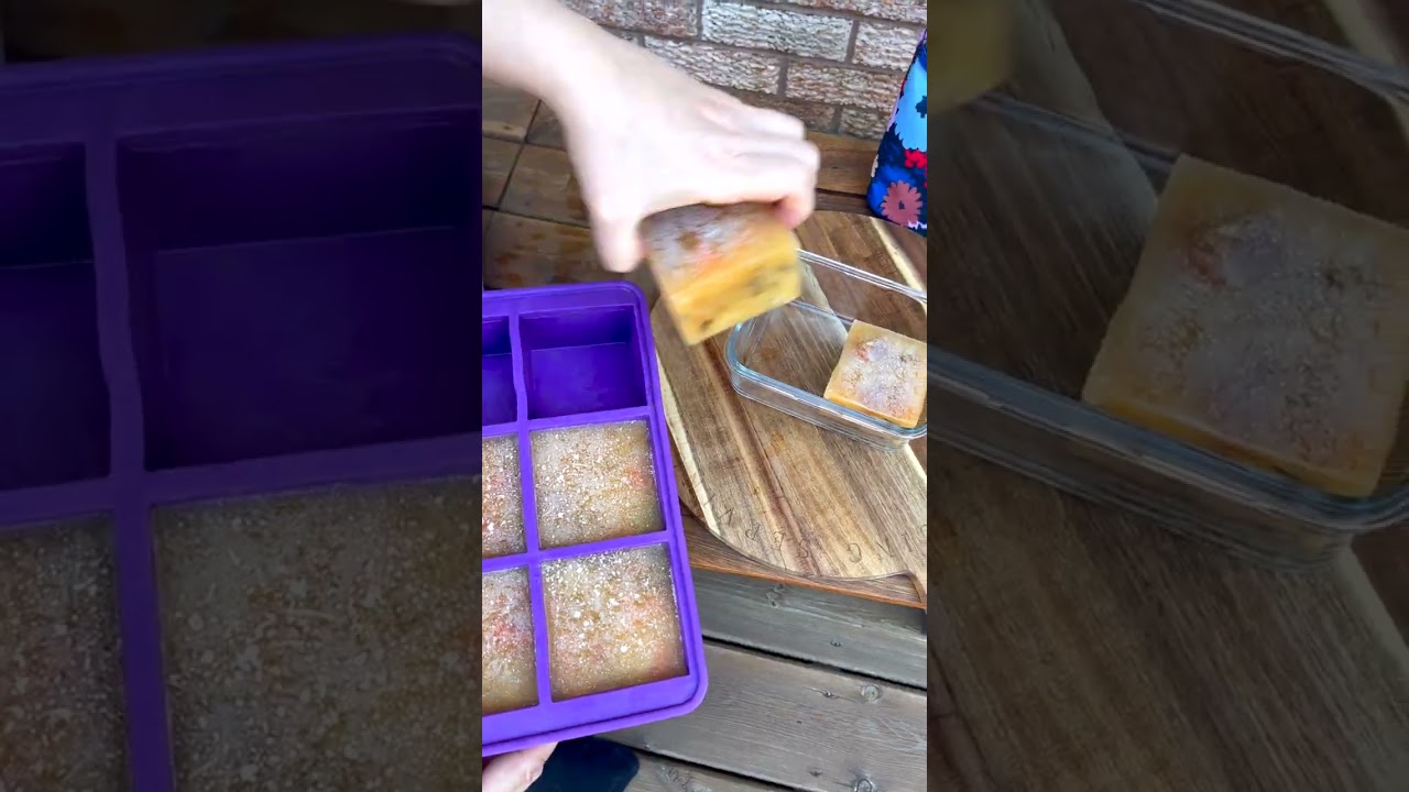 Organize Your Freezer Like a Pro! | Soup Master for Soups, Sauces & Chili Portions